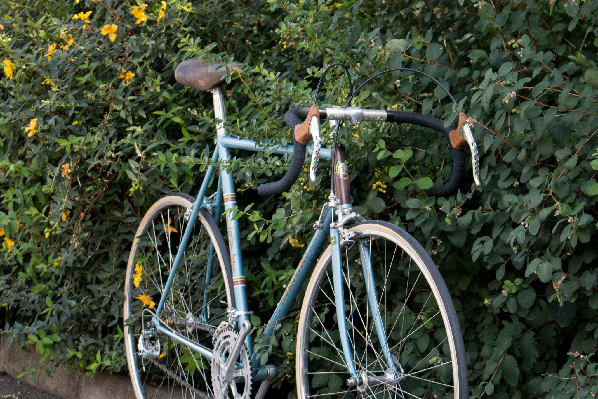 Vintage Bike of the Week: 1979 Nishiki Olympic