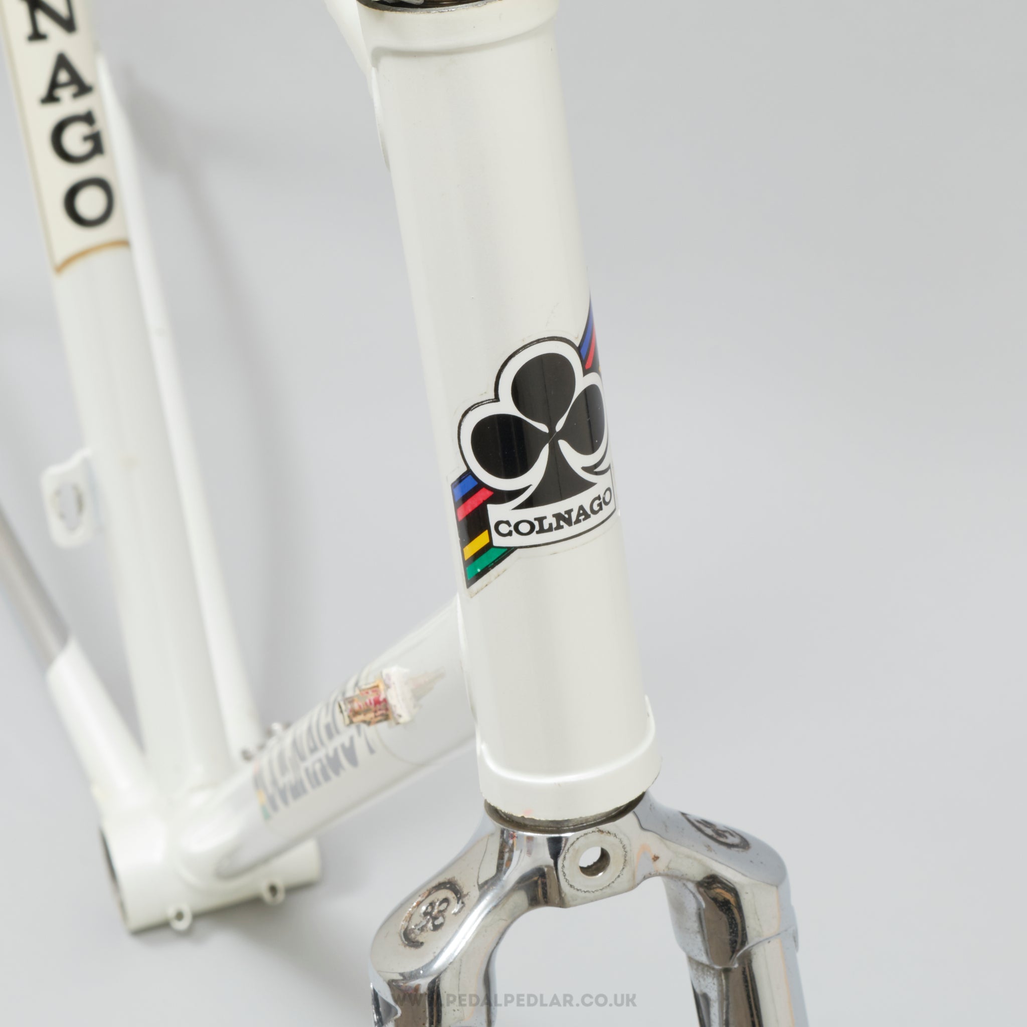 Colnago Pedal Pedlar