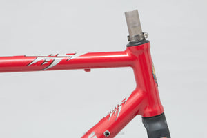 49.5cm Bianchi Pro Race Team Classic Italian Road Bike Frame - Pedal Pedlar - Framesets For Sale