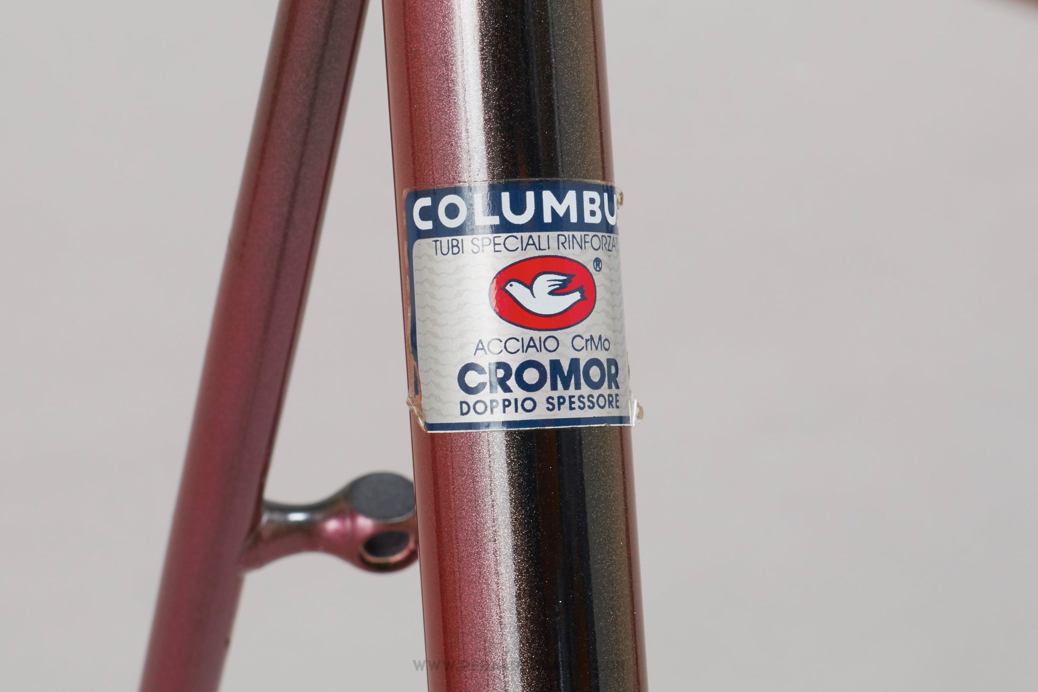 Ciocc frameset store